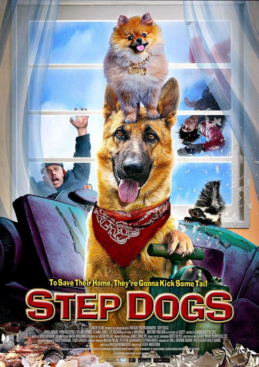 Step Dogs - 2013 DVDRip x264 - Türkçe Altyazılı Tek Link indir